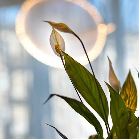 Riverside Spacious One Bedroom Daire